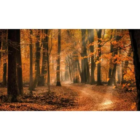 Casa de Férias Romantic Loft W Garden Terrace Ermelo