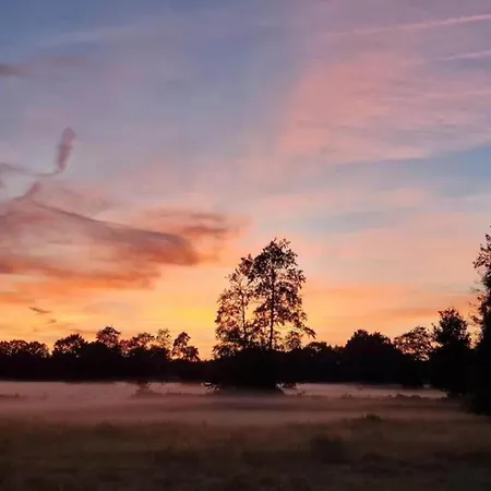 Romantic Loft W Garden Terrace