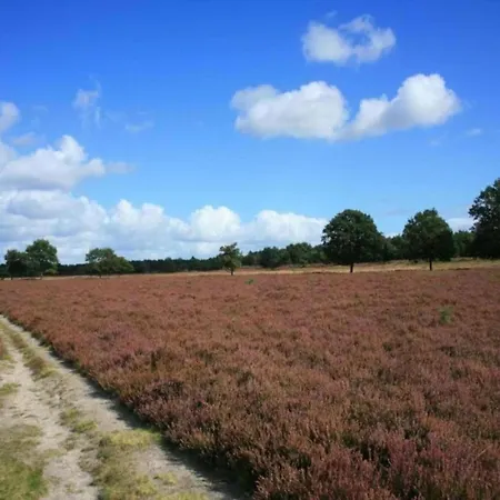 Romantic Loft W Garden Terrace Ermelo