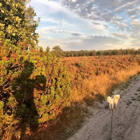 Romantic Loft W Garden Terrace