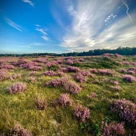 Casa de Férias Romantic Loft W Garden Terrace Ermelo