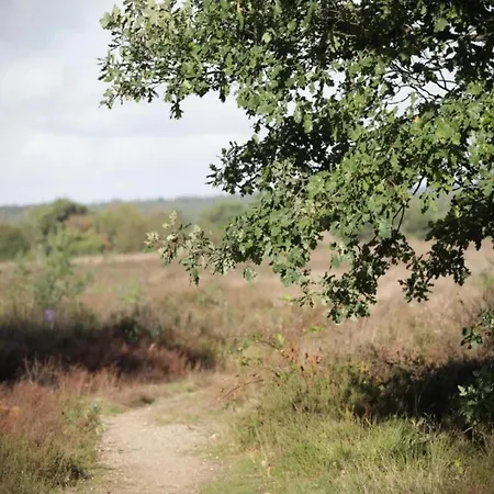 Romantic Loft W Garden Terrace Casa de Férias
