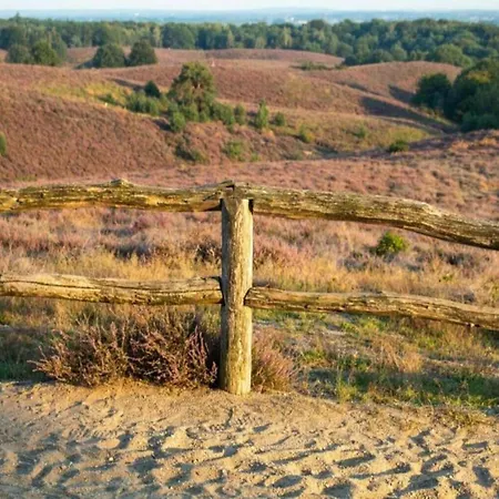 Romantic Loft W Garden Terrace *