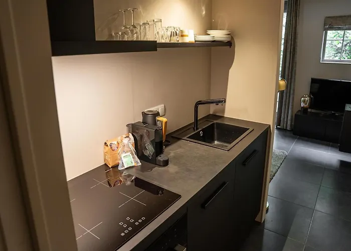 Romantic Loft W Garden Terrace * Ermelo