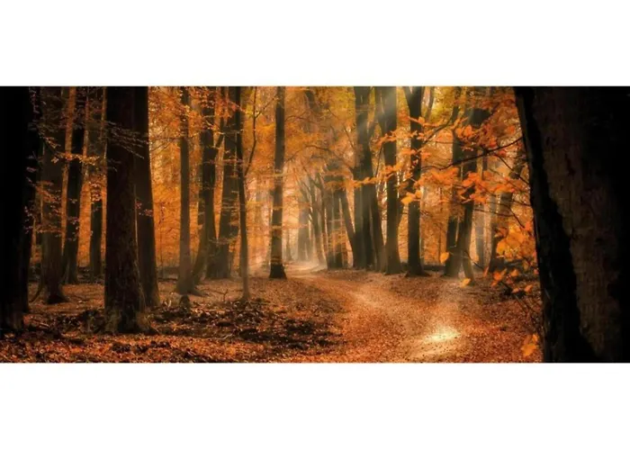 Vakantiehuis Romantic Loft W Garden Terrace Ermelo