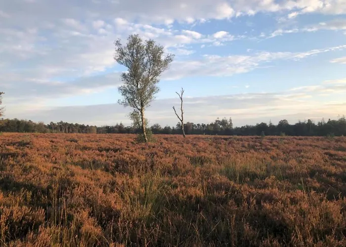 Vakantiehuis Romantic Loft W Garden Terrace Ermelo