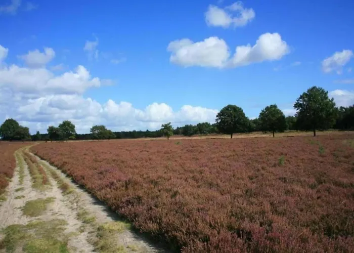 Romantic Loft W Garden Terrace Ermelo