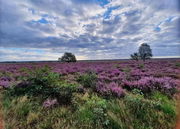 Romantic Loft W Garden Terrace Vakantiehuis *