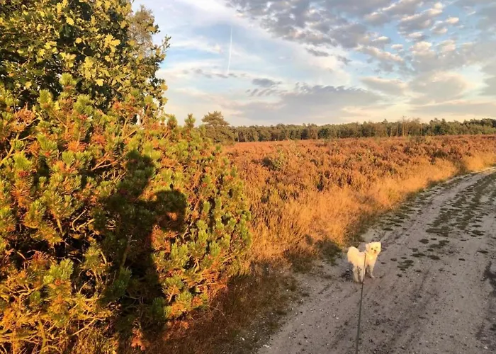 Romantic Loft W Garden Terrace