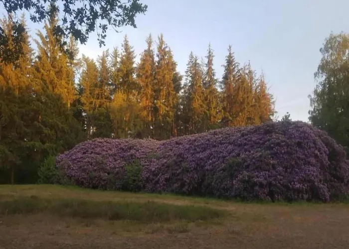 Romantic Loft W Garden Terrace Vakantiehuis