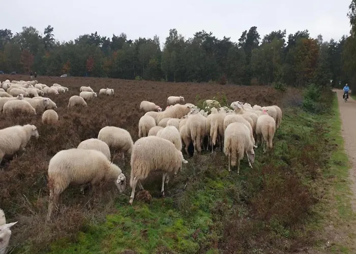 Romantic Loft W Garden Terrace Vakantiehuis *