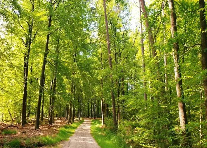 Romantic Loft W Garden Terrace Vakantiehuis Ermelo