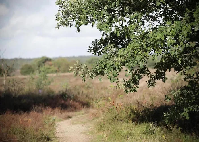 Romantic Loft W Garden Terrace Vakantiehuis