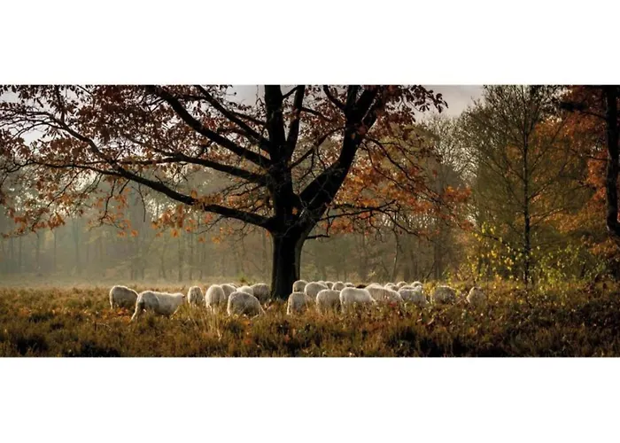 Romantic Loft W Garden Terrace Vakantiehuis *