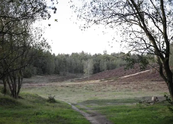 Romantic Loft W Garden Terrace * Ermelo