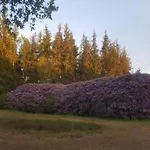 Romantic Loft W Garden Terrace Дом отдыха